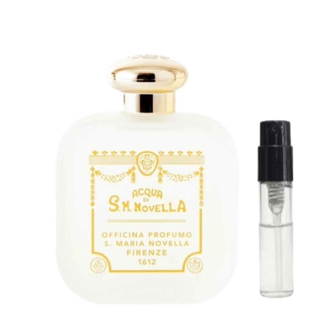 Santa Maria Novella Acqua Della Regina(サンタマリアノヴェッラ アクアデッラレジーナ)