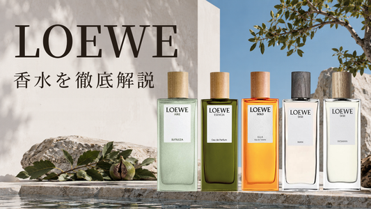 LOEWE（ロエベ）の香水を徹底解説｜人気の香り5選・特徴・選び方