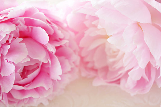 ☔️雨の季節も香りで気分リフレッシュ！6月限定セール開催☔️