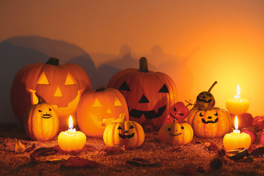 11月セール開催🍂冬を前に、心温まる香りを纏う