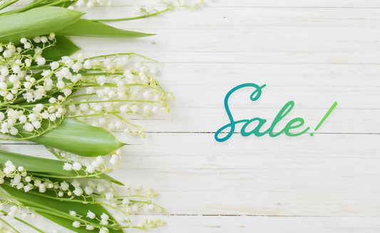 5月セール開催🌿新緑の季節に、軽やかな香りを