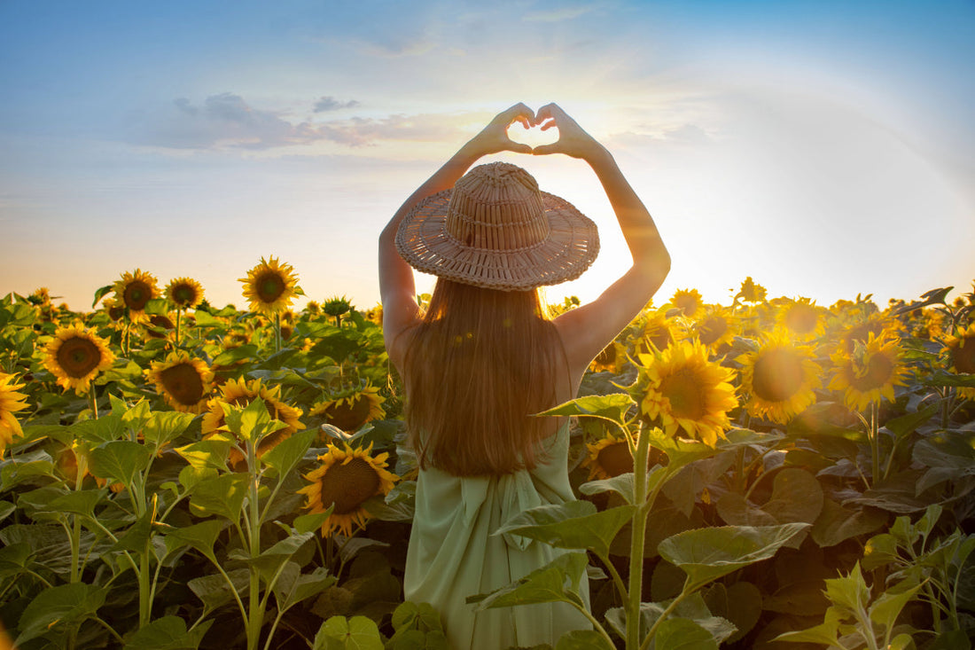 8月セール開催☀️暑さの続く日々に、香りの涼を。