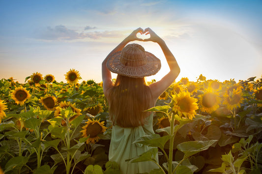 8月セール開催☀️暑さの続く日々に、香りの涼を。