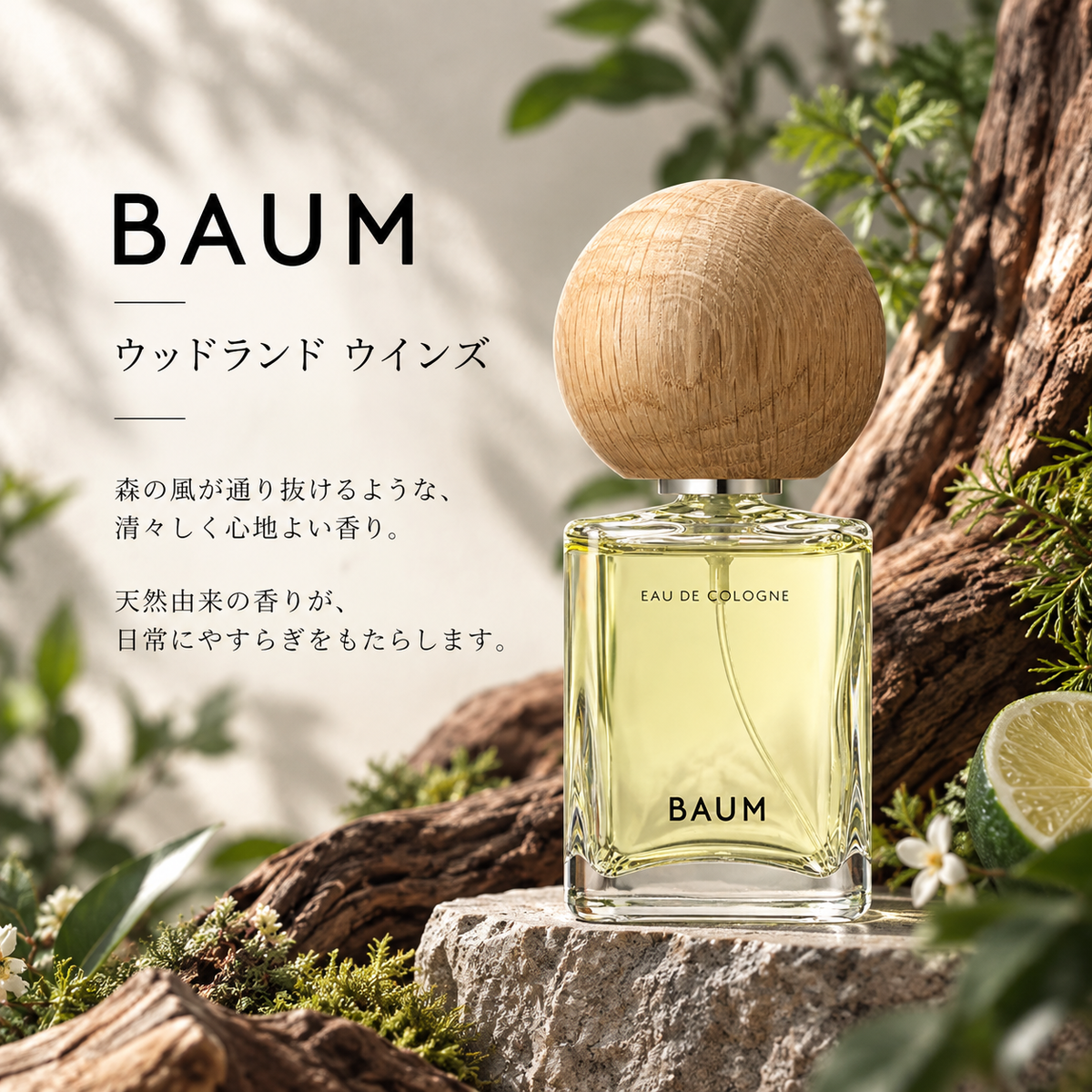 BAUM WOODLAND WINDS バウム　ウッドランドウィンズ BAUM（バウム）ウッドランド ウインズ EDC – 香水量り売り専門店【MELL