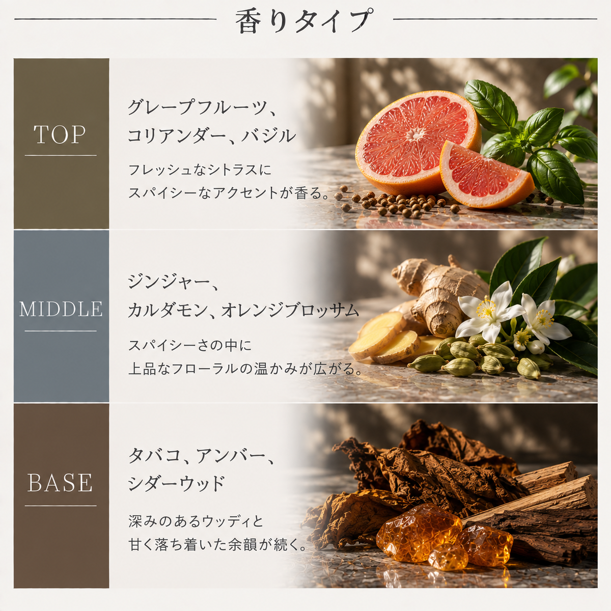 DOLCE&GABBANA（ドルガバ） ザ・ワン フォーメン EDT