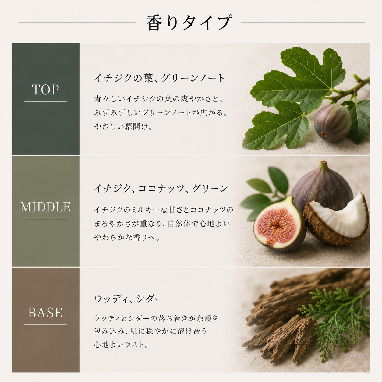 DIPTYQUE （ディプティック）フィロシコス EDT